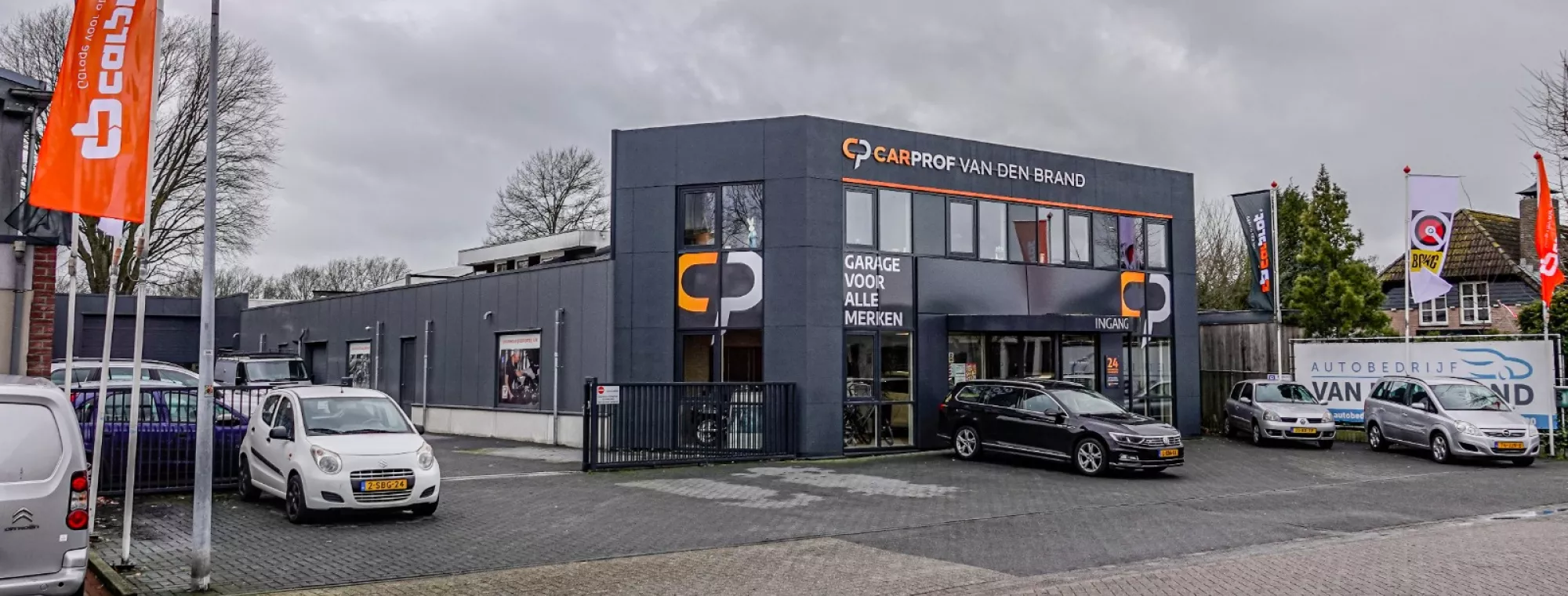 CarProf Van den Brand Riel