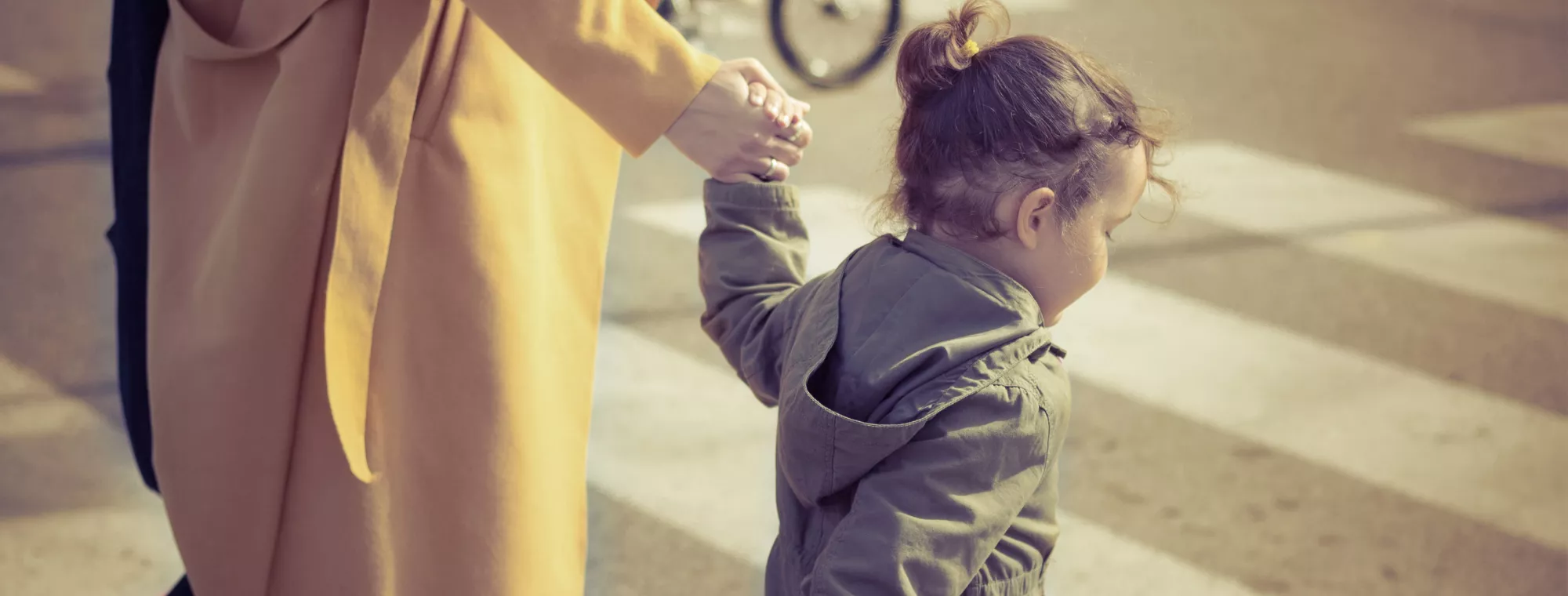 CarProf goede doel Veilig Verkeer Nederland en Fonds Slachtofferhulp